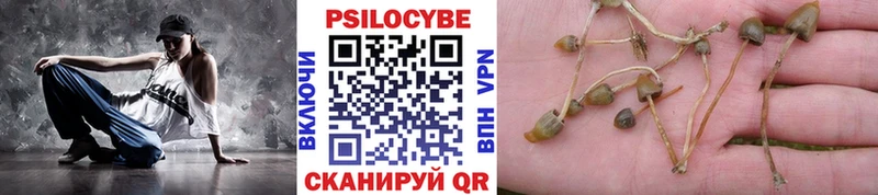 Псилоцибиновые грибы мухоморы  как найти наркотики  Нижний Новгород 
